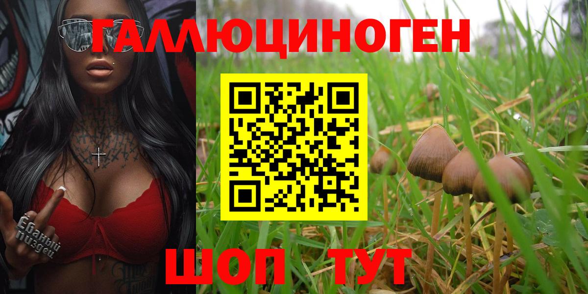 Ноябрьск  Псилоцибиновые грибы ЛСД  Вход с VPN 
