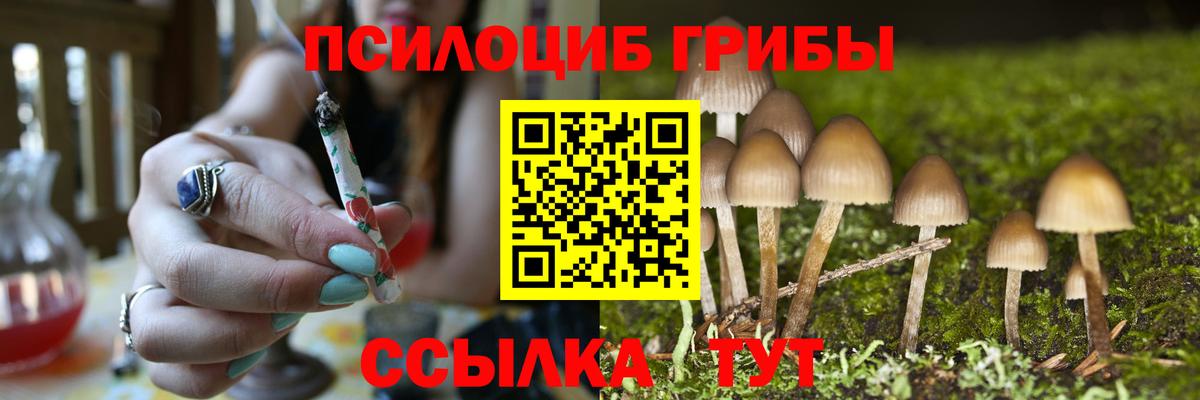 Псилоцибиновые грибы прущие грибы Ноябрьск